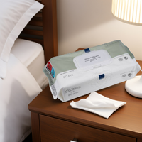 Abena Wet Wipes - 20cm x 27cm