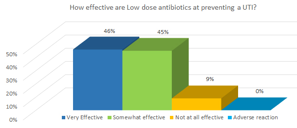 How effective are Low dose antibiotics at preventing a UTI?